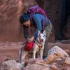 Kurgo Hunde-Rucksack Baxter M Rot Produktbild-Vorschau 13