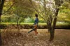 A woman is using a leaf blower to clear leaves from a yard in an autumn setting. Produktbild-Vorschau