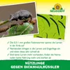 Neudorff Nützlinge gegen Dickmaulrüssler – 5 Mio. Produktbild-Vorschau 4