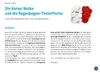 Die kleine Wolke und die Regenbogen-Tintenfische. Produktbild-Vorschau 2