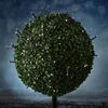 LED Solar Lichterkette Compact Twinkle - 1000 warmweiße LED - 8 Funktionen - L: 22,5m - USB Produktbild-Vorschau