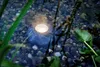 Pontec PondoStar Rocklight LED Set 3 Produktbild-Vorschau 8