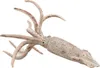 CollectA Belemnite sběratelská figurka hračky COLECTA Náhled obrázku produktu 2