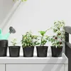Maison Exclusive - Runder Blumentopf 50 pcs Schwarz Ø 10 x Produktbild-Vorschau 1
