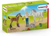 Schleich Farm World Arztbesuch bei Stute und Fohlen 42486 Produktbild-Vorschau 1