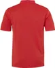 uhlsport GOAL Poloshirt Herren rot/bordeaux XXL Produktbild-Vorschau 2