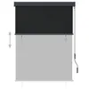 vidaXL Store extérieur 120 x 250 cm Anthracite Voir les images du produit 3