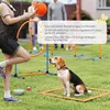 PawHut Agility Set Hunde 11-teilig Agility-Ausrüstung mit 2 Produktbild-Vorschau 7