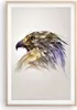 Gerahmtes Poster - Rahmen in heller Eiche - Adler Vogel Produktbild-Vorschau 1