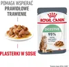 Royal Canin Digest Sensitive Care, Dorosły, 85 g Podgląd zdjęcia produktu 11