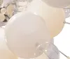 Näve 7026423 Lampa wisząca - szklana kula ; Żarówka: G9 ; Podgląd zdjęcia produktu 4