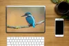 MuchoWow® Laptop Aufkleber Sticker Cover Vogel - Eisvogel - Produktbild-Vorschau 2
