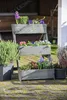 dobar Dreistufige Pflanztreppe aus Holz, Blumenkästen inkl. Produktbild-Vorschau 8