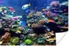 MuchoWow® Poster Koralle - Fische - Aquarium 60x40 cm - Produktbild-Vorschau 1