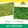NEUDORFF Azet Concime per prati 20 kg Anteprima dell’immagine prodotto 4