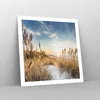 Poster - Poster ohne Rahmen - Ähren Küste Sonne - 60x60 cm Produktbild-Vorschau 7