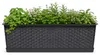 Kunststoff Ratolla Rattan Pflanzgefas/Blumenkasten Set Produktbild-Vorschau 1
