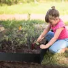 A young girl is gardening in a raised garden bed. Náhled obrázku produktu