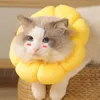 A cat wearing a sunflower-shaped collar sits on a woven basket. Produktbild-Vorschau