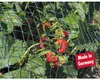 SIENA GARDEN Vogelschutznetz 8x8m, Profi Produktbild-Vorschau 10