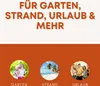Best Sporting Kinder Tennis-Badminton-Set, 2 Schläger mit Produktbild-Vorschau 5