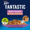 Felix Fantastic Adult Mięsne Smaki w Galaretce karma dla Podgląd zdjęcia produktu 15