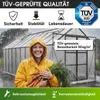BRAST Gewächshaus Aluminium mit Fundament | 250x190x195cm | Produktbild-Vorschau 3
