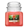 Yankee Candle THE LAST PARADISE CLASSIC MEDIUM JAR 411G THE Anteprima dell’immagine prodotto 10