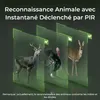 Reolink 4K 8MP 4G LTE batterie/panneau solaire caméra de Voir les images du produit 6