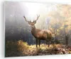 Bilder auf glas - Einteilig - Licht Hirsch Wald - 70x50cm - Produktbild-Vorschau 1