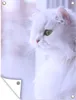 MuchoWow® Produktbild-Vorschau 1