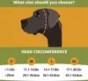 A diagram showing a dog's head with a dashed line indicating where to measure head circumference, followed by a size chart for different sizes (S, M, L, XL) with corresponding measurements in inches and centimeters. Produktbild-Vorschau