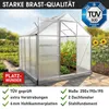 BRAST Gewächshaus Aluminium mit Fundament | 250x190x195cm Produktbild-Vorschau 8