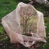 A young plant is covered with burlap for protection in a garden setting. Anteprima dell’immagine prodotto