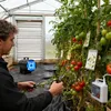 TRMLBE Gasheizung für innenräume 15KW Gasheizgebläse mit Produktbild-Vorschau 8