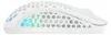 CHERRY XTRFY M42 RGB, Beidhändig, Optisch, RF Wireless + Produktbild-Vorschau 19