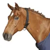 Cinghia da collo Kerbl per cavalli larga 5 cm Anteprima dell’immagine prodotto 1