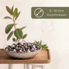 Farbiges Blähton Pflanzgranulat für Zimmer-Pflanzen 20 Produktbild-Vorschau 2