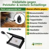 Pelzkäfer Falle mit Lockstoff -1x Falle- Mittel gegen Produktbild-Vorschau 2