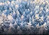 Wald - Erholung für Mensch und Tier - 2027 - Kalender DIN Produktbild-Vorschau 6