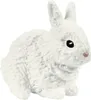 schleich FARM WORLD 42500, Farm, Farm animals / farm toys, Náhľad obrázku produktu 4