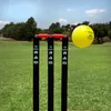 Zestaw RAM Super Cricket Sport - kij juniorski + kij Podgląd zdjęcia produktu 9