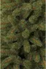 Triumph Tree Bristlecone Fir künstlicher Weihnachtsbaum 686 Produktbild-Vorschau 11