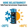 A battery is shown between a snowflake and a sun graphic, with temperature indicators below. Produktbild-Vorschau
