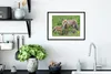 MuchoWow® MuchoWow® Gerahmtes Poster Füchse - Kind - Gras Produktbild-Vorschau 4
