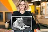 MuchoWow® Laptop Aufkleber Sticker Cover Tiger - Baum - Produktbild-Vorschau 5