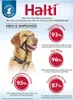 A dog wearing a Halti headcollar, with marketing text and statistics about its effectiveness. Anteprima dell’immagine prodotto