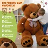 A child hugging a large teddy bear, with descriptive text and icons on the left. Anteprima dell’immagine prodotto