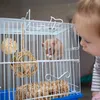 Relaxdays Hamster Zubehör Set 5 tlg., Grasröhre & 4 Bälle, Produktbild-Vorschau 2