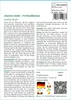 SAFLAX - Libanon Zeder - Cedrus libani - 20 Samen Produktbild-Vorschau 3